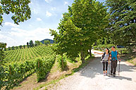 passeggiate