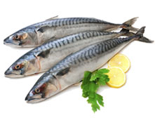 pesce