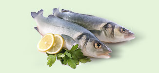 pesce